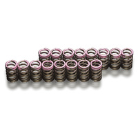 TODA RACING  UPRATED VALVE SPRINGS K20A F22C F20C 