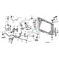OEM HONDA RUBBER LOWER RADIATOR HOSE FD2 CIVIC TYPE R