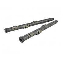 SKUNK2 TUNER STAGE 2 CAMSHAFT - B VTEC