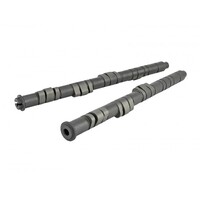 SKUNK2 PRO STAGE 2+ CAMSHAFT - B VTEC