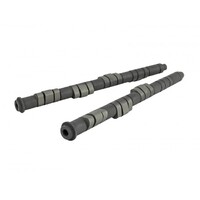 SKUNK2 PRO STAGE 1+ CAMSHAFT - H VTEC