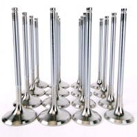 SKUNK2 ALPHA VALVES - STD COMP H SERIES 35MM/30MM