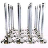 SKUNK2 ALPHA VALVES - STD COMP K SERIES 35MM/30MM