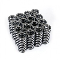 SKUNK2 ALPHA VALVE SPRING SET - SOHC D VTEC