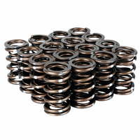 SKUNK2 PRO XP VALVE SPRING SET - K20/K24 & F20C/F22C