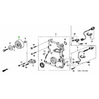 OEM HONDA S2000 AP1/2 F20C F22C IDLER PULLEY