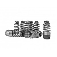 SKUNK2 LOST MOTION ASSEMBLY SPRING KIT - B VTEC