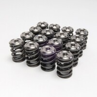 SKUNK2 ALPHA VALVE SPRING AND TI RETAINER KIT - DOHC B VTEC