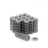 SKUNK2 ALPHA VALVE SPRING  AND TI RETAINER KIT - SOHC D VTEC
