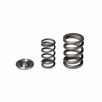 SKUNK2 ALPHA VALVE SPRING AND TI RETAINER KIT - DOHC H VTEC