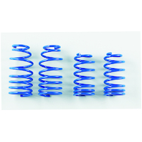 SPOON SPORTS FD2 CIVIC PROGRESSIVE LOWERING SPRINGS 