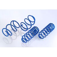 SPOON SPORTS LOW DOWN PROGRESSIVE SPRING 17+ FK7 FC1 CIVIC 