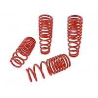 SKUNK2 LOWERING SPRINGS - '94-'01 INTEGRA