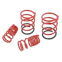 SKUNK2 LOWERING SPRINGS - '01-'05 CIVIC EX