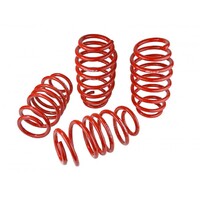 SKUNK2 LOWERING SPRINGS - '12-'15 CIVIC