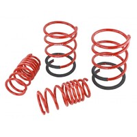 SKUNK2 LOWERING SPRINGS - '02-'04 DC5