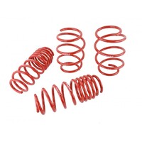 SKUNK2 LOWERING SPRINGS - '16-'17 CIVIC