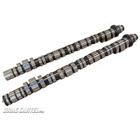 DRAG CARTEL ELITE PRO K SERIES ENDURANCE CAMS K20 K24