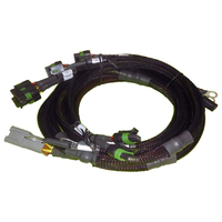 HALTECH 8 CHANNEL INDIVIDUAL HIGH OUTPUT IGN-1A HARNESS ONLY SUIT ELITE 2500 - FORD V8