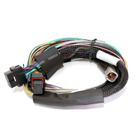 HALTECH ELITE 2500/2500T BASIC UNIVERSAL WIRE-IN HARNESS ONLY - 2.5M