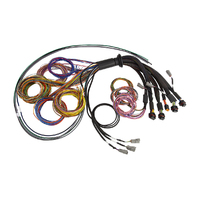 HALTECH NEXUS R5 BASIC UNIVERSAL WIRE-IN HARNESS - 2.5M